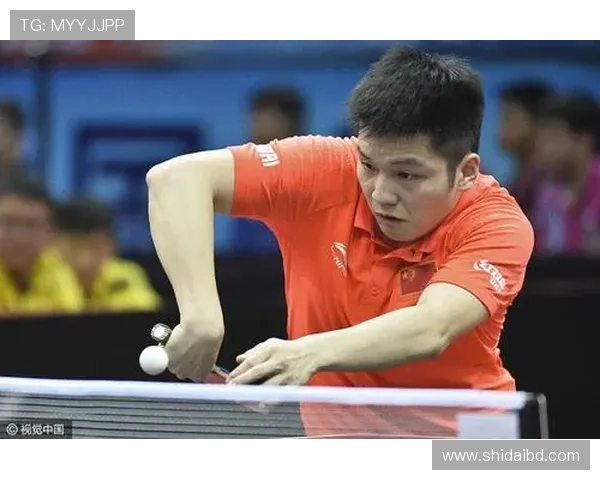 南京乒乓球队在锦标赛中的耐力表现分析与启示 南京乒乓球队在锦标赛中的耐力表现分析与启示