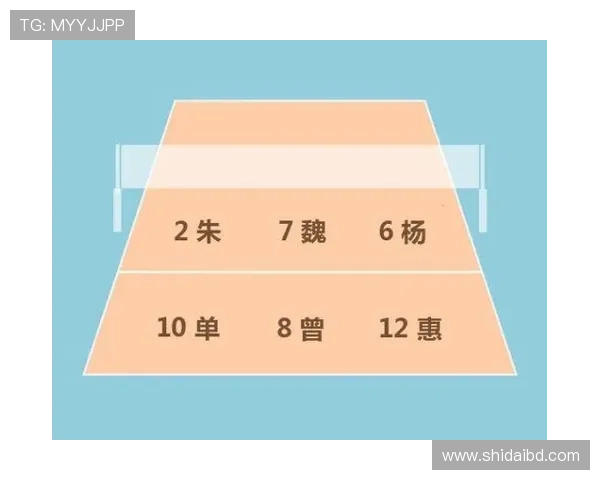 南京排球队在精英赛中的力量展现与战术分析