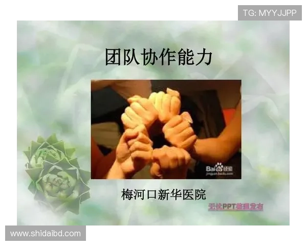 成都足球队在精英赛中的团队协作表现分析与点评 成都足球队在精英赛中的团队协作表现分析与点评