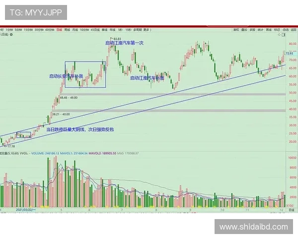 成都与杭州排球队赛后技术分析与战术复盘探讨 成都与杭州排球队赛后技术分析与战术复盘探讨