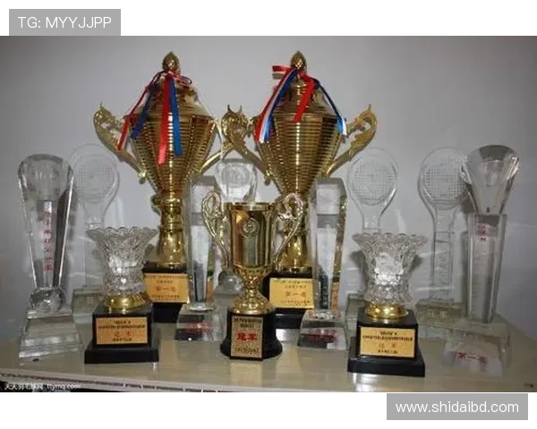 成都羽毛球队挑战赛个人能力分析与表现评估 成都羽毛球队挑战赛个人能力分析与表现评估