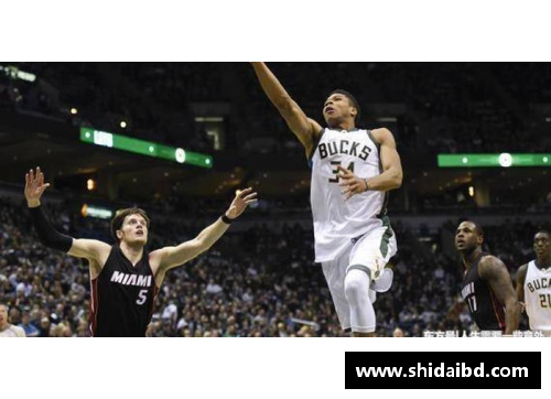 网易NBA：深度解析球队阵容与球员动态，专家观点与赛事精彩回顾