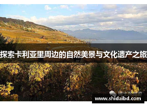 探索卡利亚里周边的自然美景与文化遗产之旅